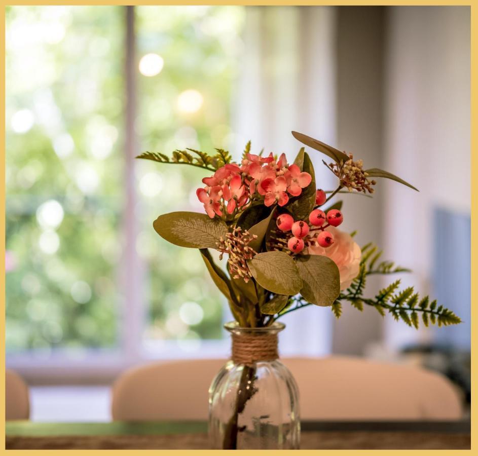 Charmant Appartement Centre Ville Thonon-Les-Bains Ngoại thất bức ảnh