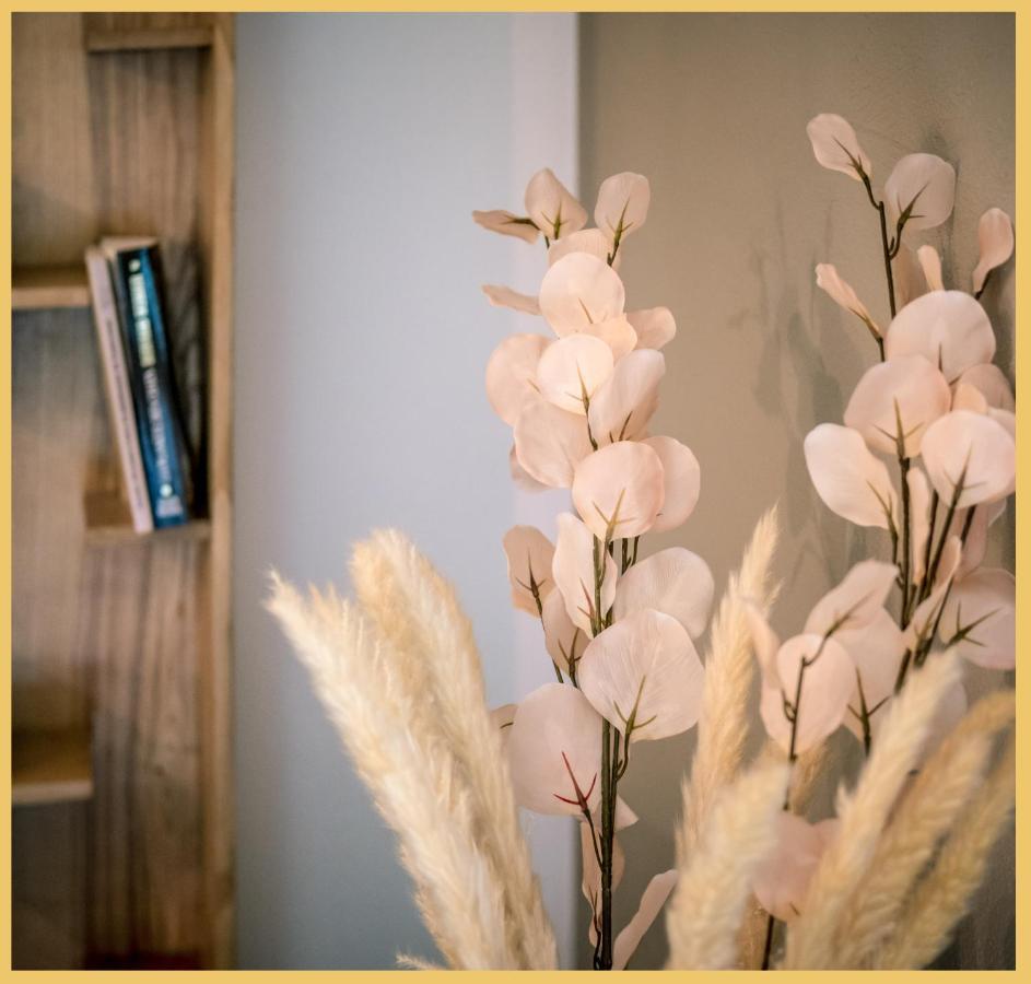 Charmant Appartement Centre Ville Thonon-Les-Bains Ngoại thất bức ảnh